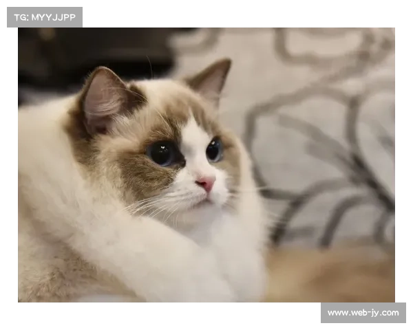 环境因素对网球比赛影响：风速与场地类型研究